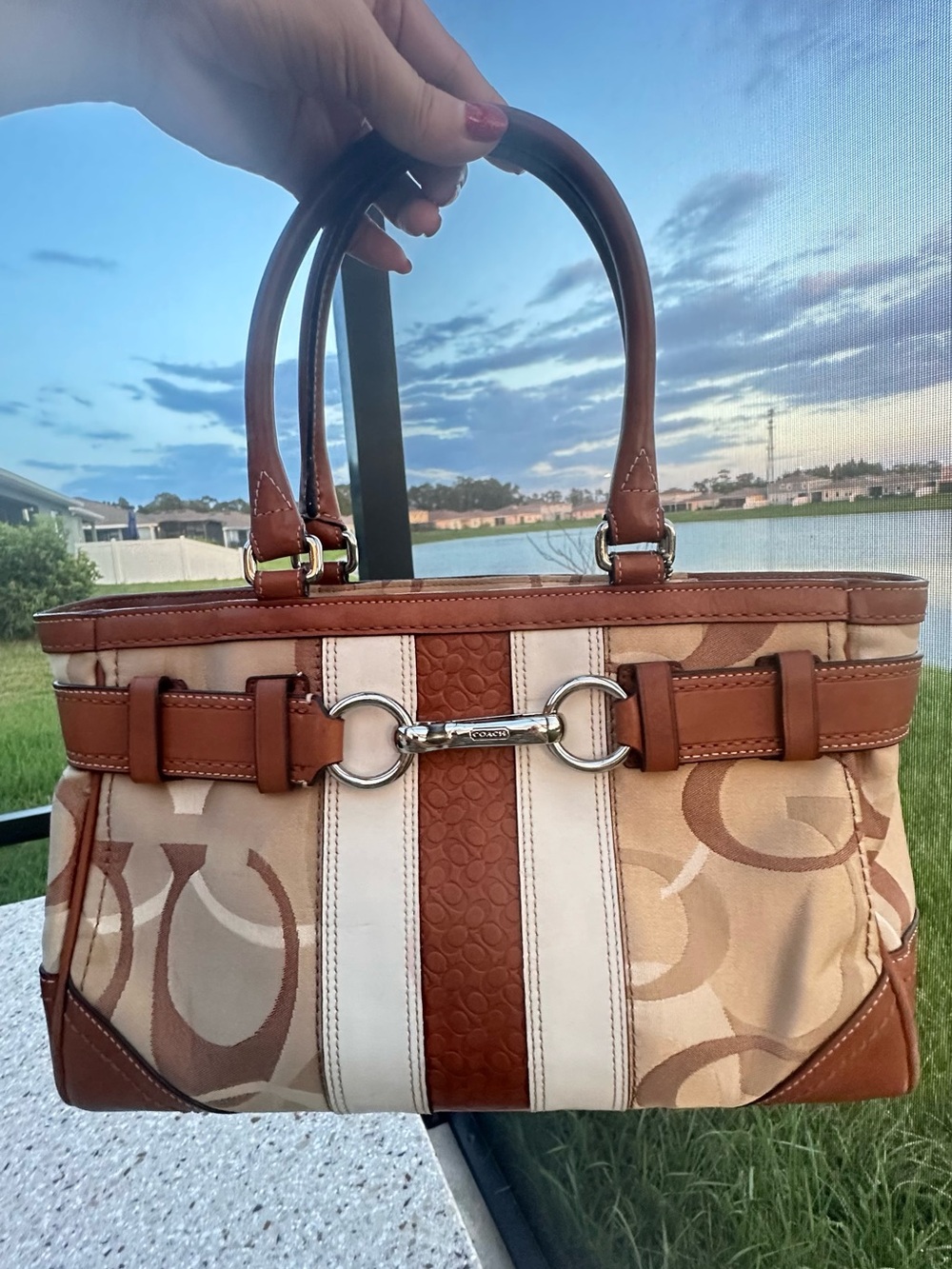 Coach Hamptons Optic Signature Stripe Carryall F13337, Brown and Cream